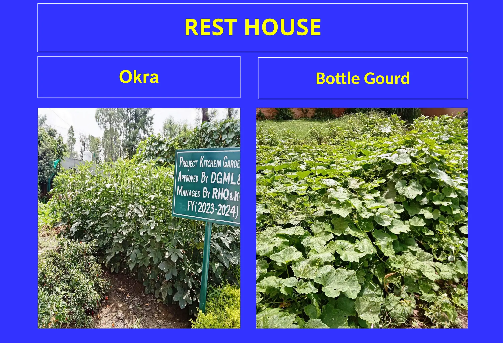 REST HOUSE
Okra Bottle Gourd
 