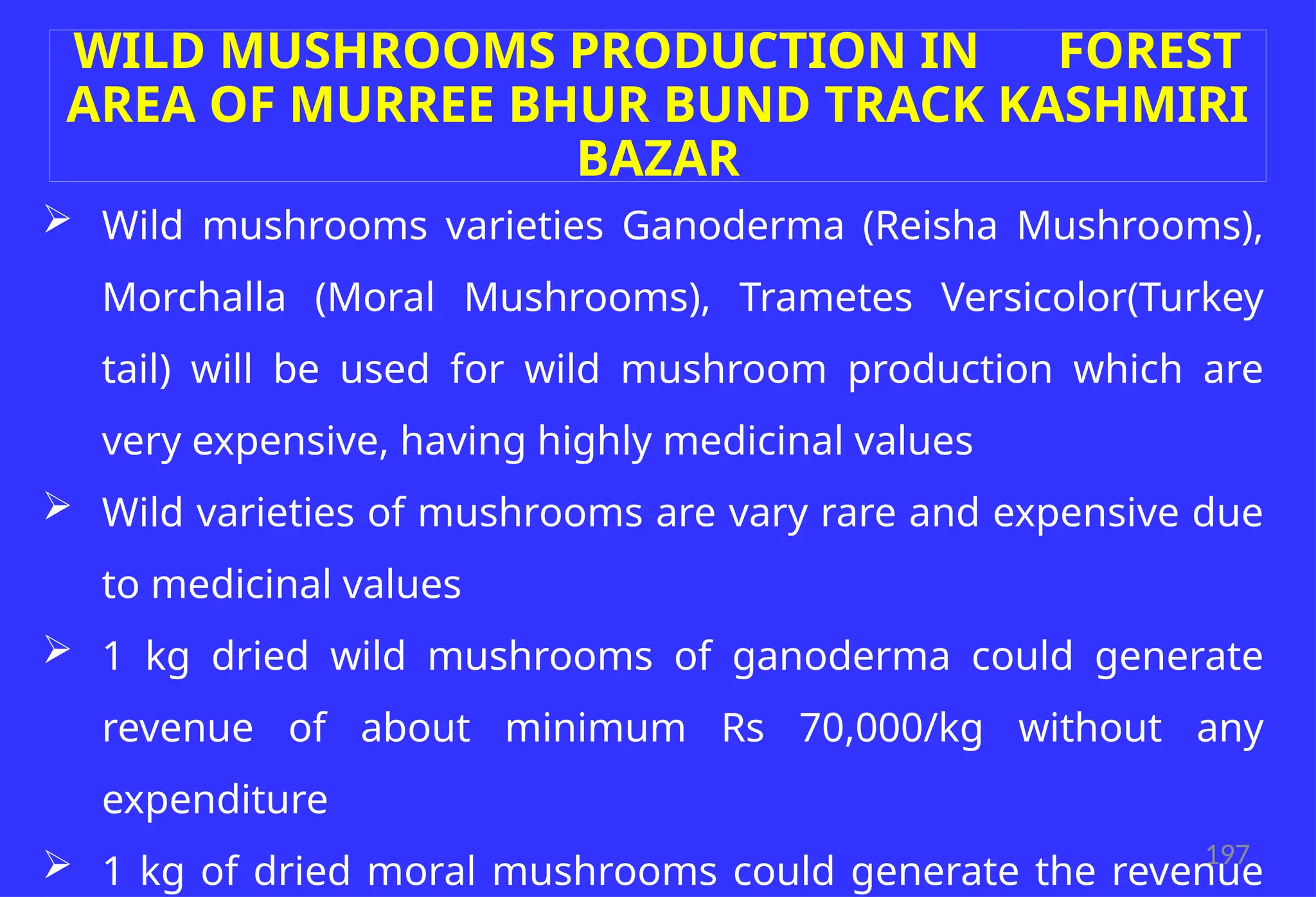 197
WILD MUSHROOMS PRODUCTION IN FOREST
AREA OF MURREE BHUR BUND TRACK KASHMIRI
BAZAR
 Wild mushrooms varieties Ganoderma (Reisha Mushrooms),
Morchalla (Moral Mushrooms), Trametes Versicolor(Turkey
tail) will be used for wild mushroom production which are
very expensive, having highly medicinal values
 Wild varieties of mushrooms are vary rare and expensive due
to medicinal values
 1 kg dried wild mushrooms of ganoderma could generate
revenue of about minimum Rs 70,000/kg without any
expenditure
 1 kg of dried moral mushrooms could generate the revenue
 