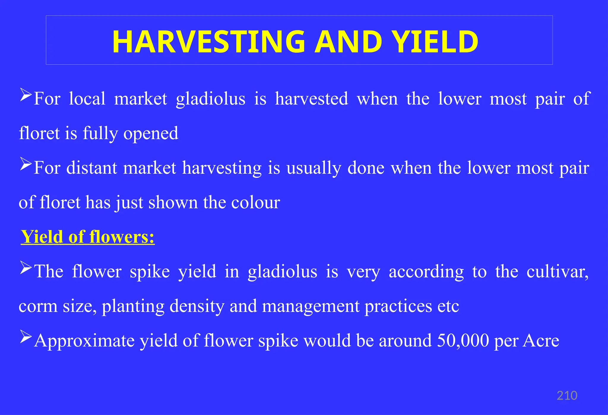 For local market gladiolus is harvested when the lower most pair of
floret is fully opened
For distant market harvesting is usually done when the lower most pair
of floret has just shown the colour
Yield of flowers:
The flower spike yield in gladiolus is very according to the cultivar,
corm size, planting density and management practices etc
Approximate yield of flower spike would be around 50,000 per Acre
210
HARVESTING AND YIELD
 
