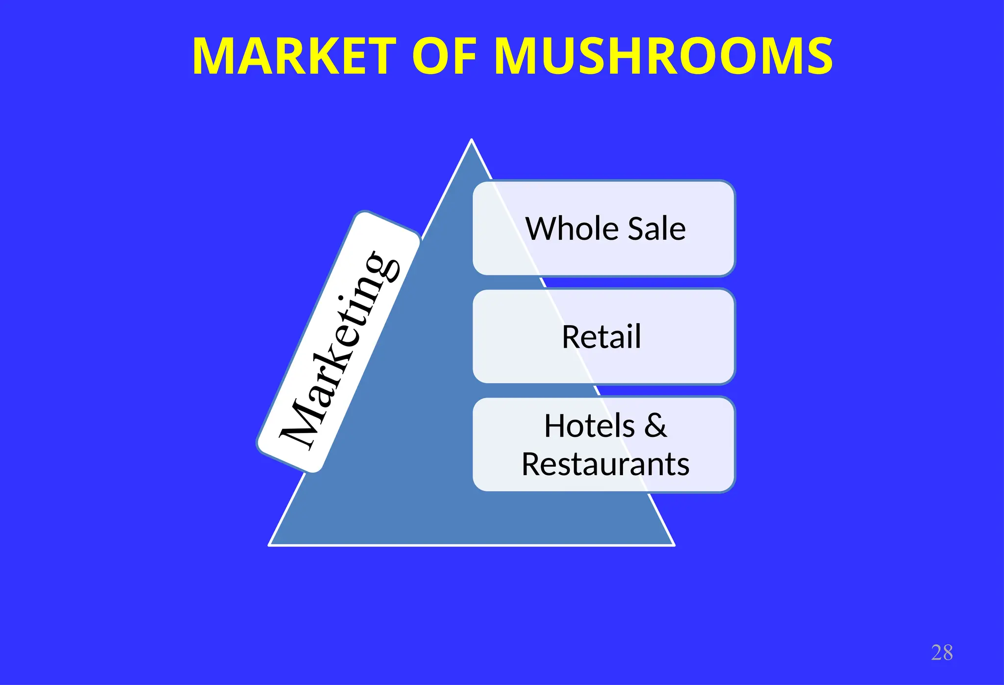MARKET OF MUSHROOMS
28
Whole Sale
Retail
Hotels &
Restaurants
M
a
r
k
e
t
i
n
g
 