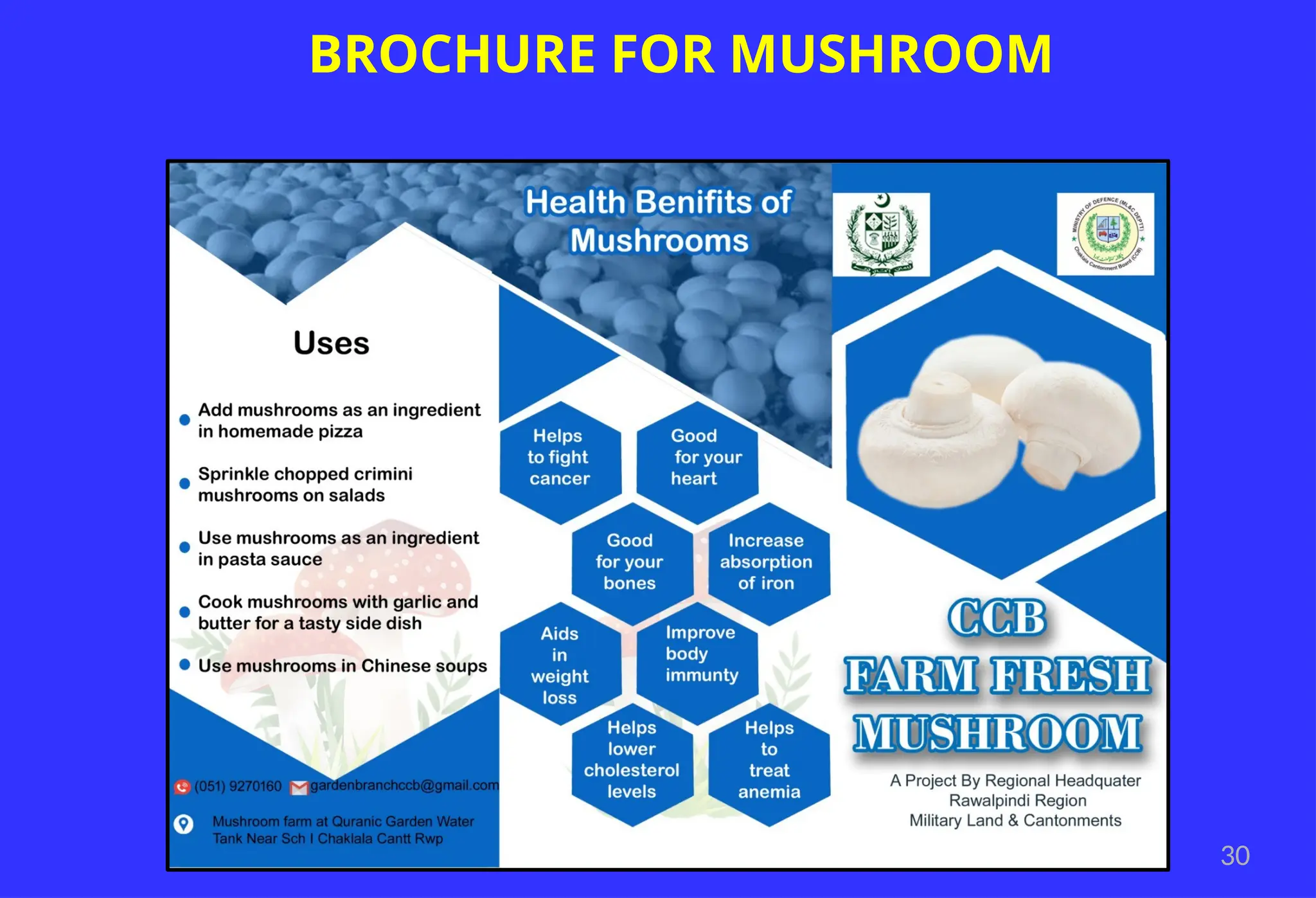30
BROCHURE FOR MUSHROOM
 