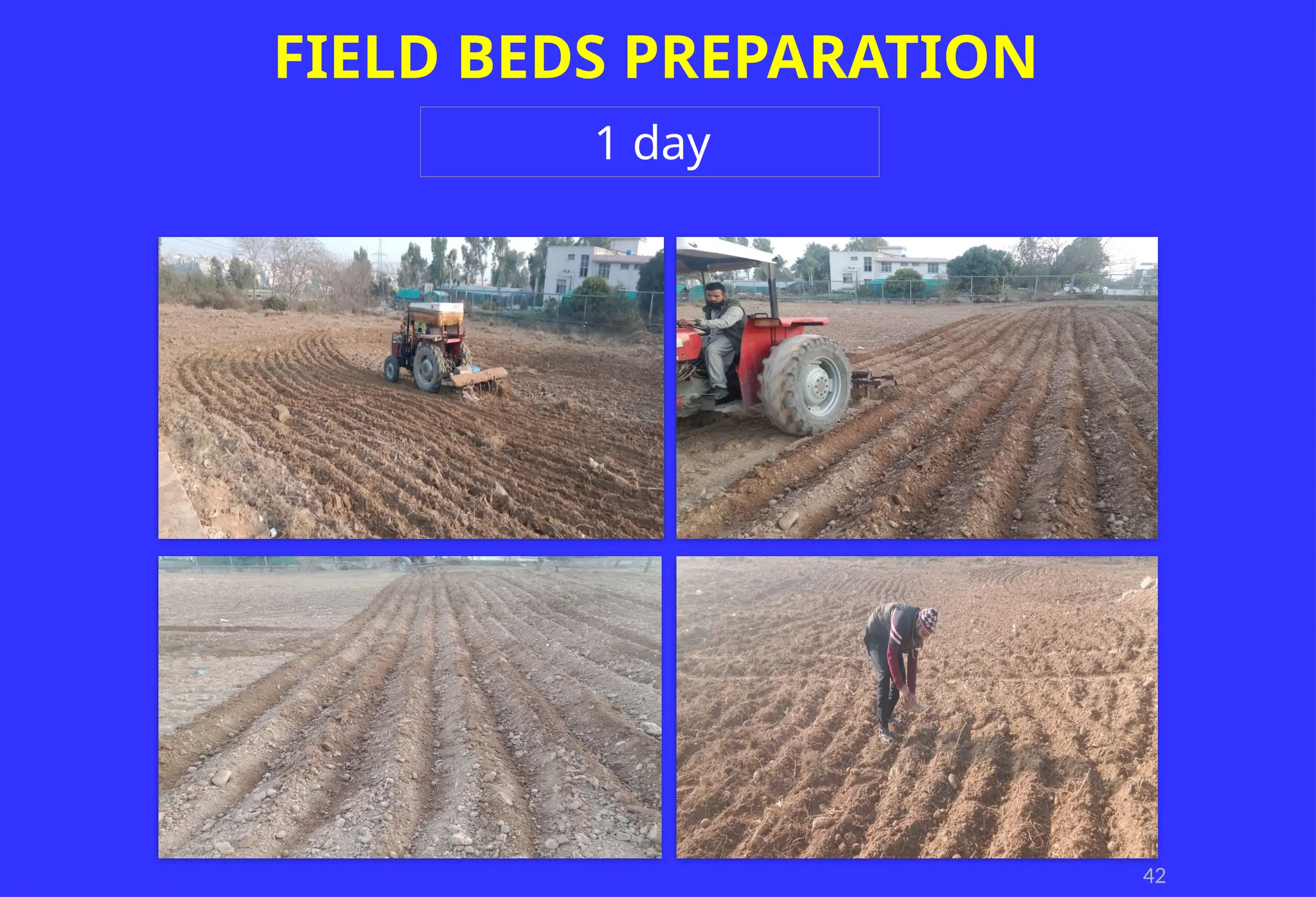 42
FIELD BEDS PREPARATION
1 day
 