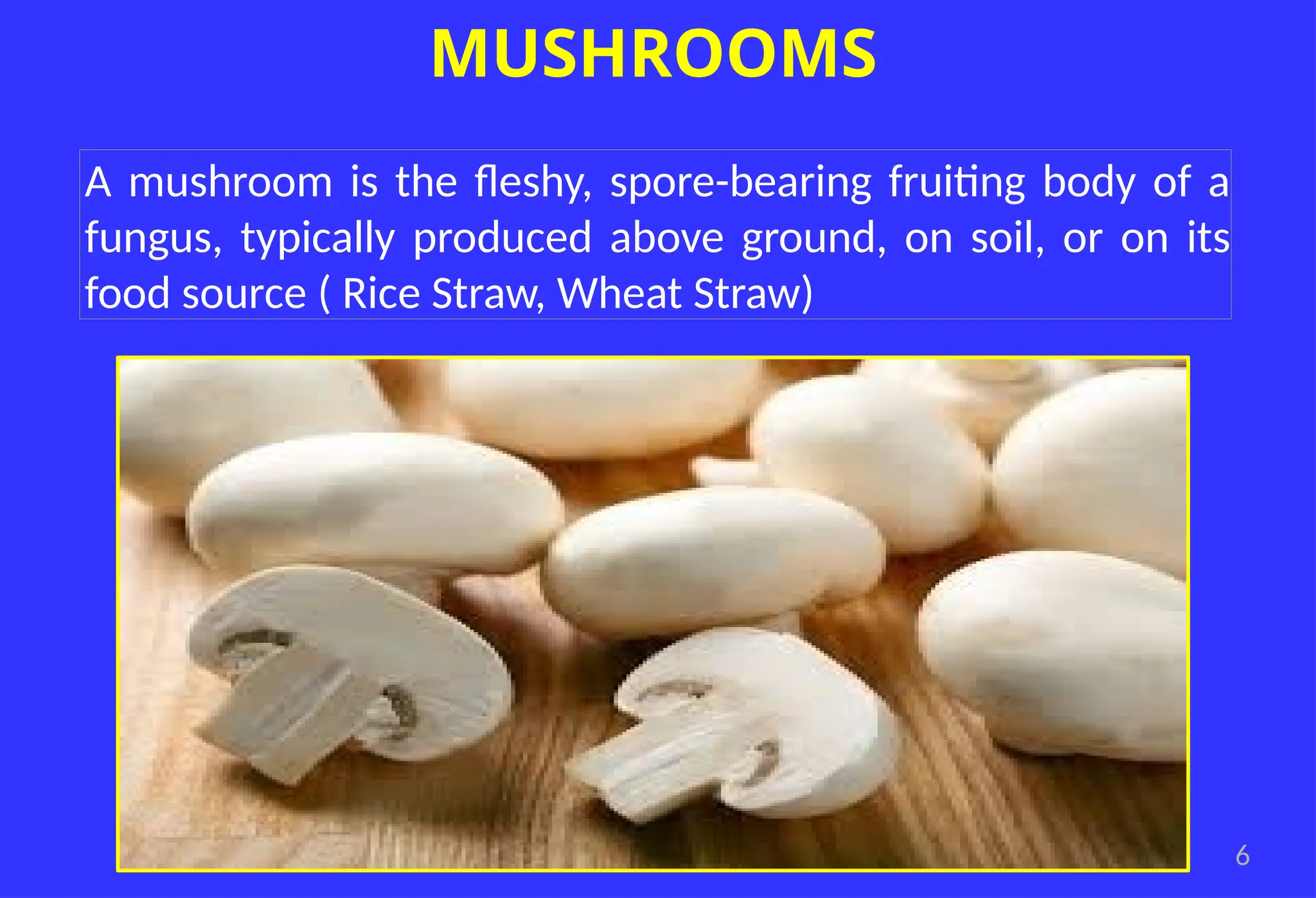 6
MUSHROOMS
A mushroom is the fleshy, spore-bearing fruiting body of a
fungus, typically produced above ground, on soil, or on its
food source ( Rice Straw, Wheat Straw)
 