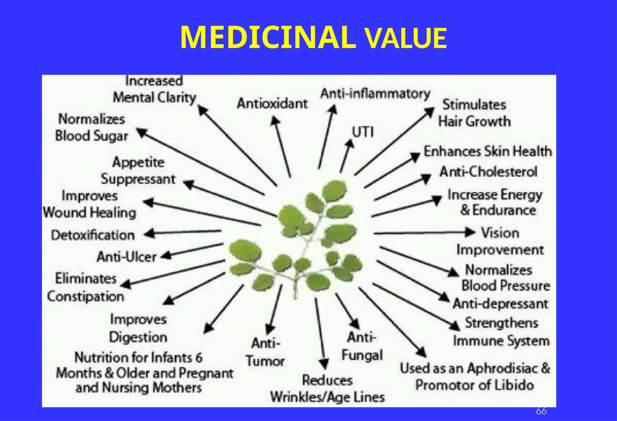 MEDICINAL VALUE
66
 