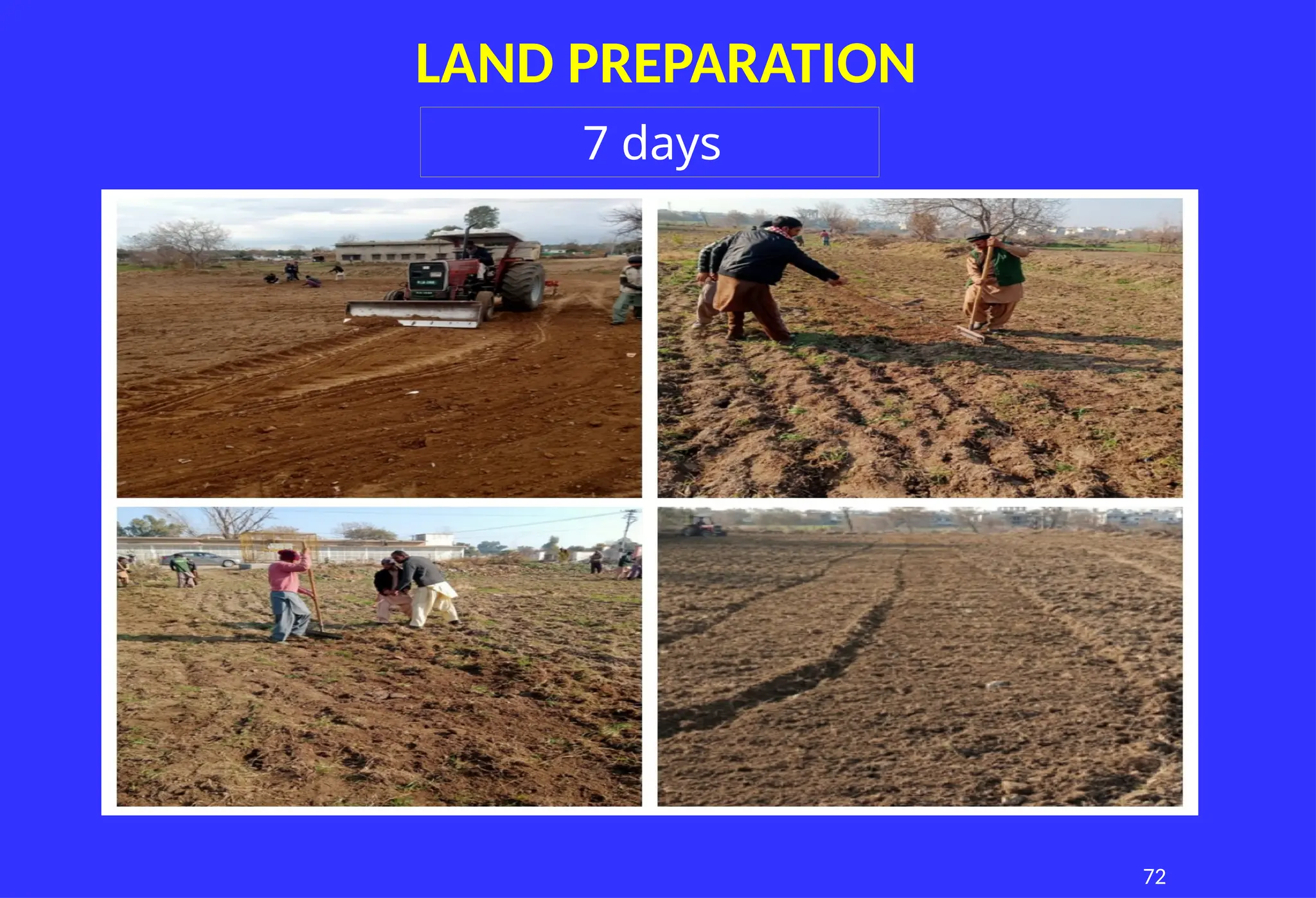 72
LAND PREPARATION
7 days
 