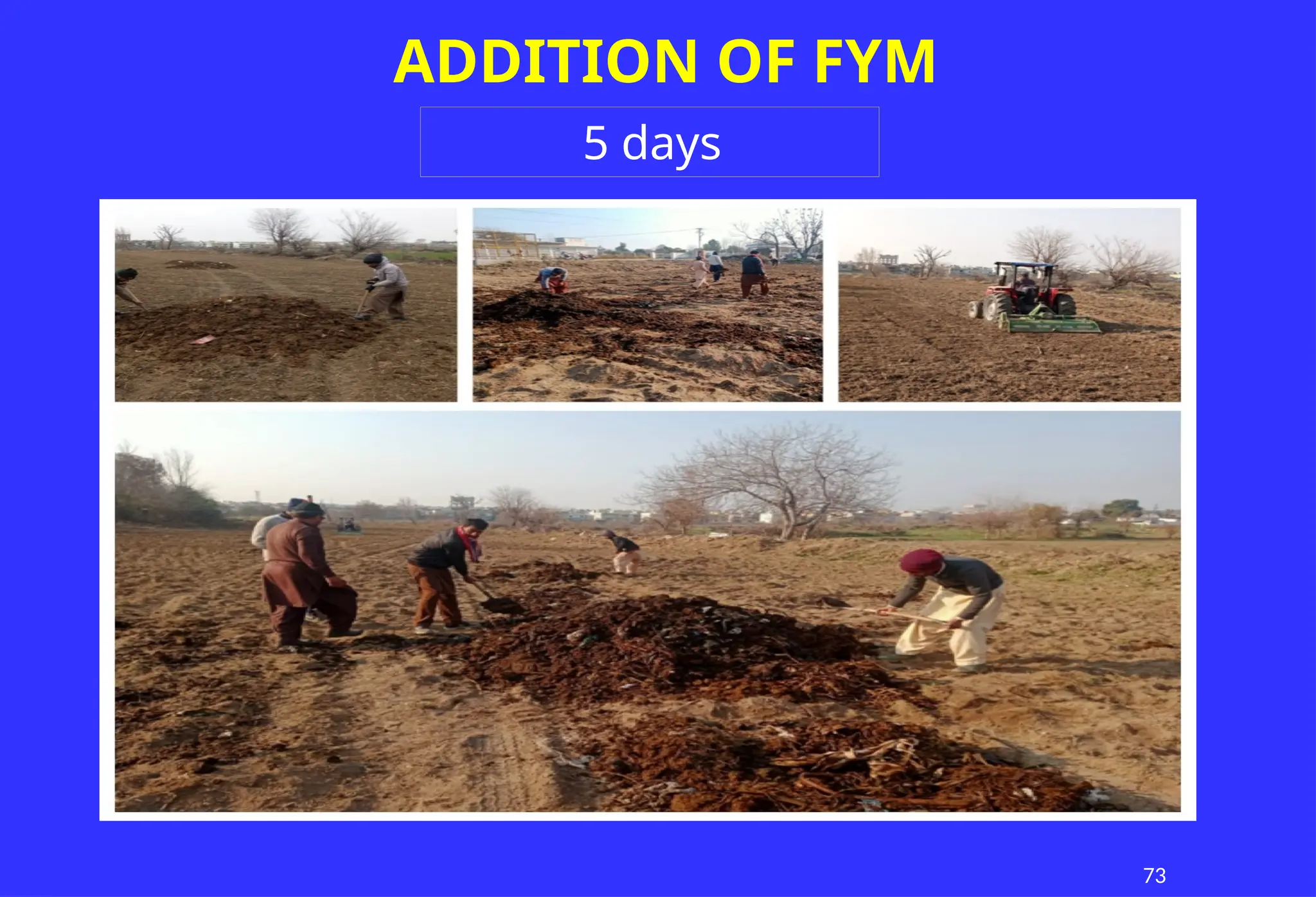 73
ADDITION OF FYM
5 days
 