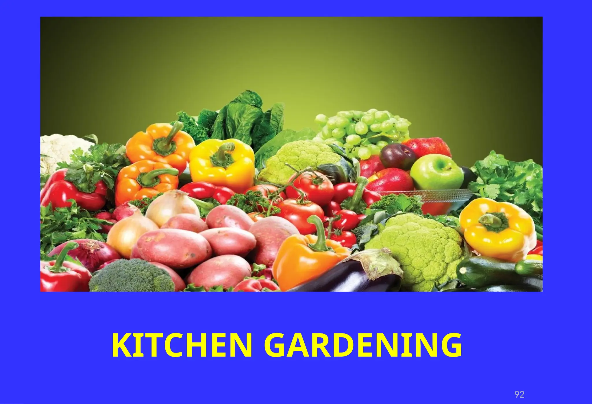 92
KITCHEN GARDENING
 