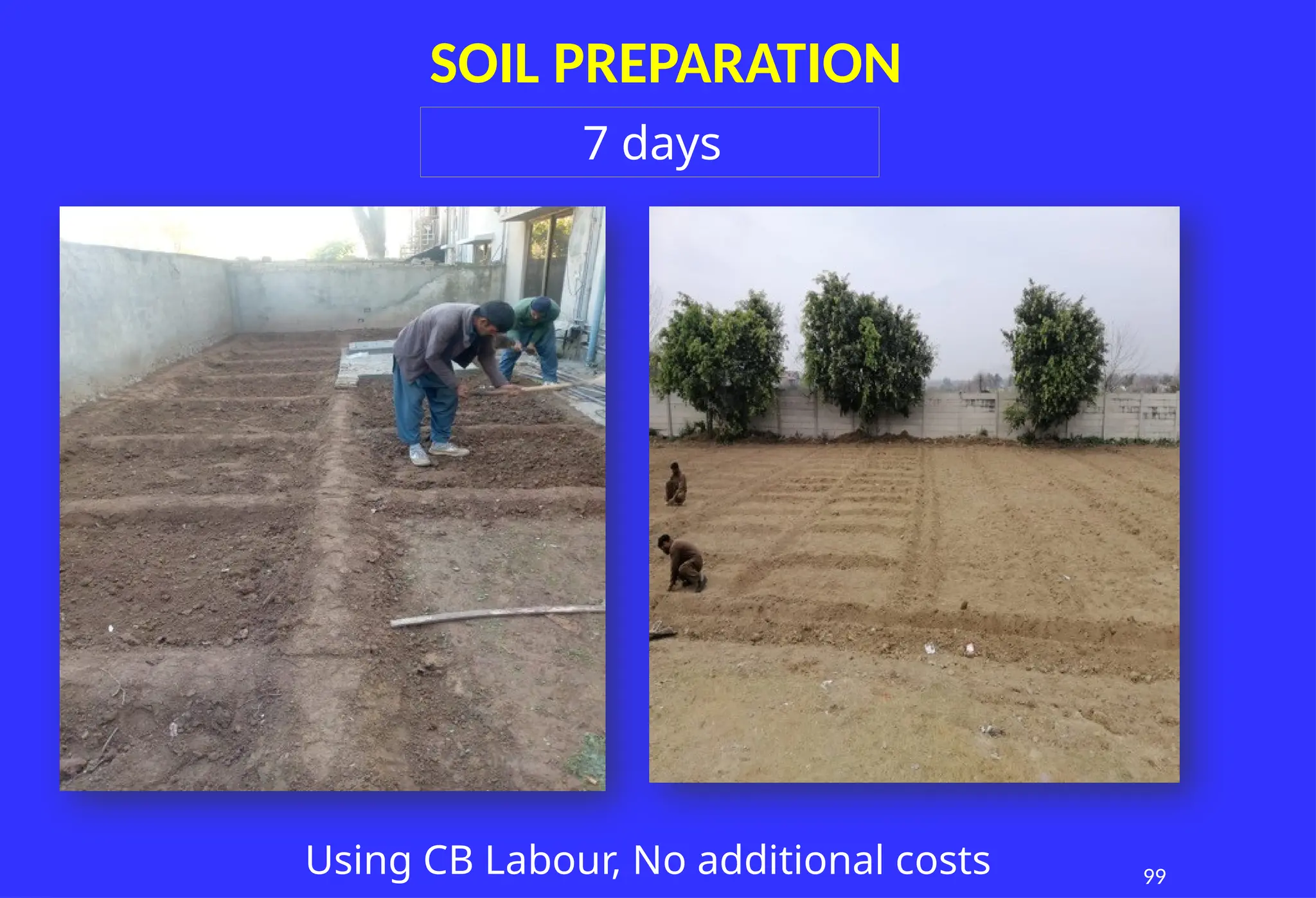99
SOIL PREPARATION
7 days
Using CB Labour, No additional costs
 