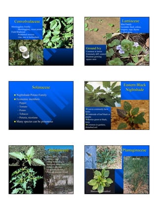 Master Gardenerweedhandouts