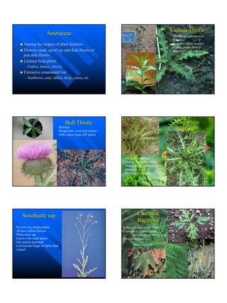 Master Gardenerweedhandouts