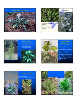 Master Gardenerweedhandouts