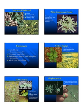 Master Gardenerweedhandouts