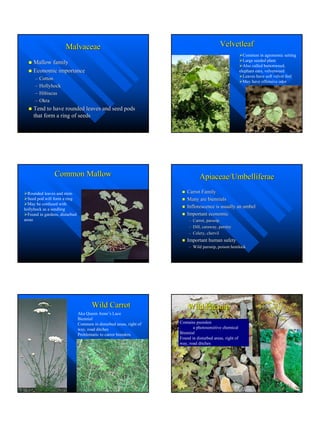 Master Gardenerweedhandouts