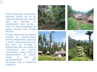 Dentro del parque, encontramos asentada todavía una de las culturas indígenas más ricas del país, los Tayronas. Su asentamiento está ubicado  sobre un área arqueológica de parque conocida como “Ciudad Pérdida” El lugar comprende un complejo sistema de construcciones, caminos empedrados, escaleras y muros intercomunicados por una serie de terrazas y plataformas sobre las cuales se construyeron los centros ceremoniales, casas y sitios de almacenamiento de víveres. Ocupa un área de aproximadamente 200 hectáreas, unos 2 kilómetros cuadrados. 
