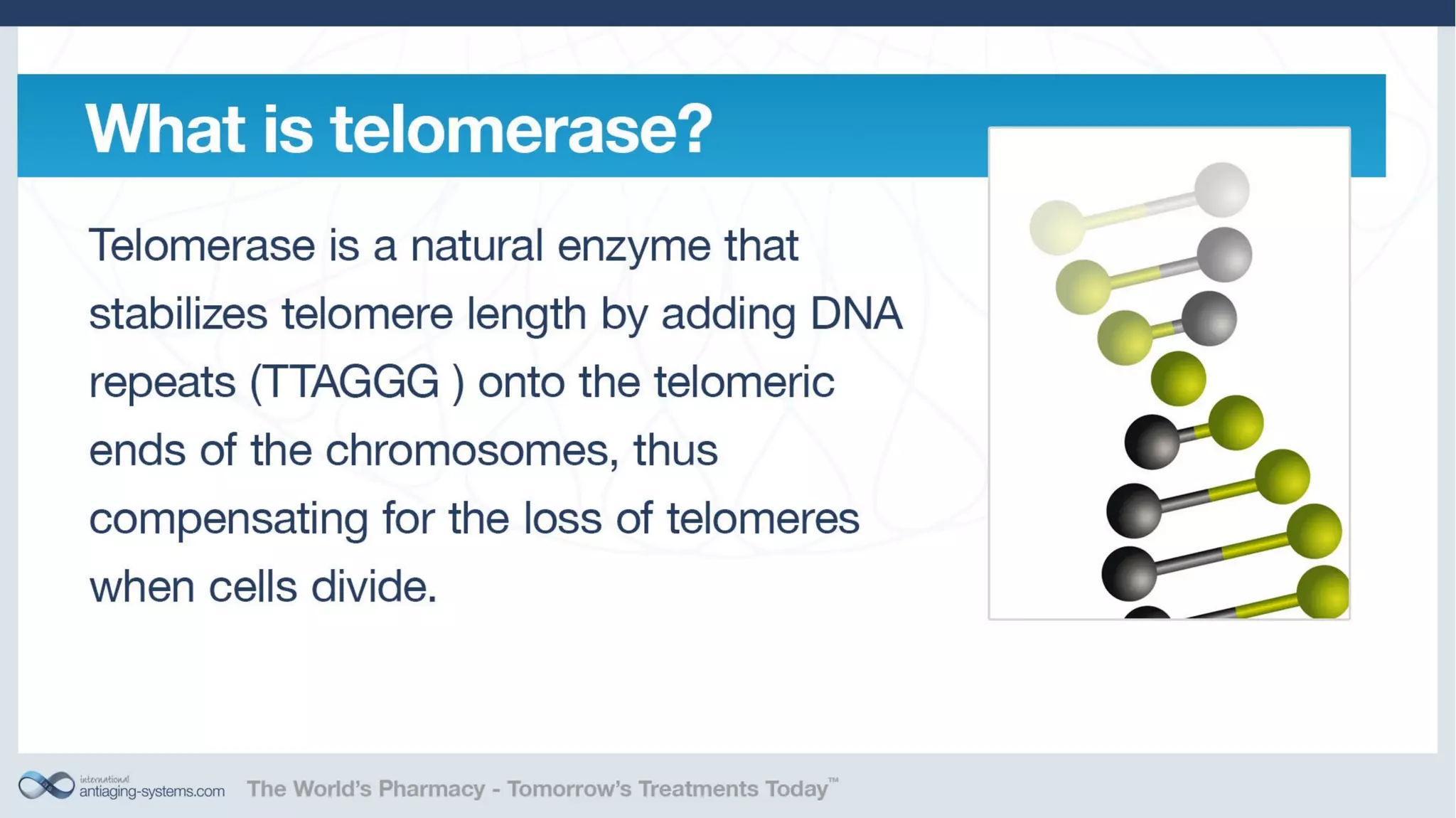 Telomerase Activation: Is it a key to unlocking the aging puzzle?