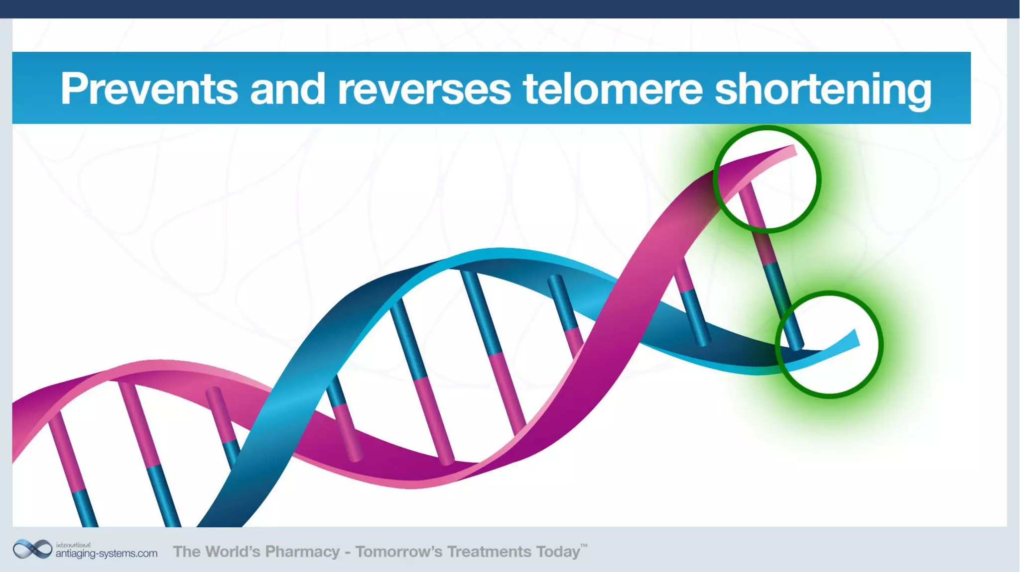 Telomerase Activation: Is it a key to unlocking the aging puzzle?
