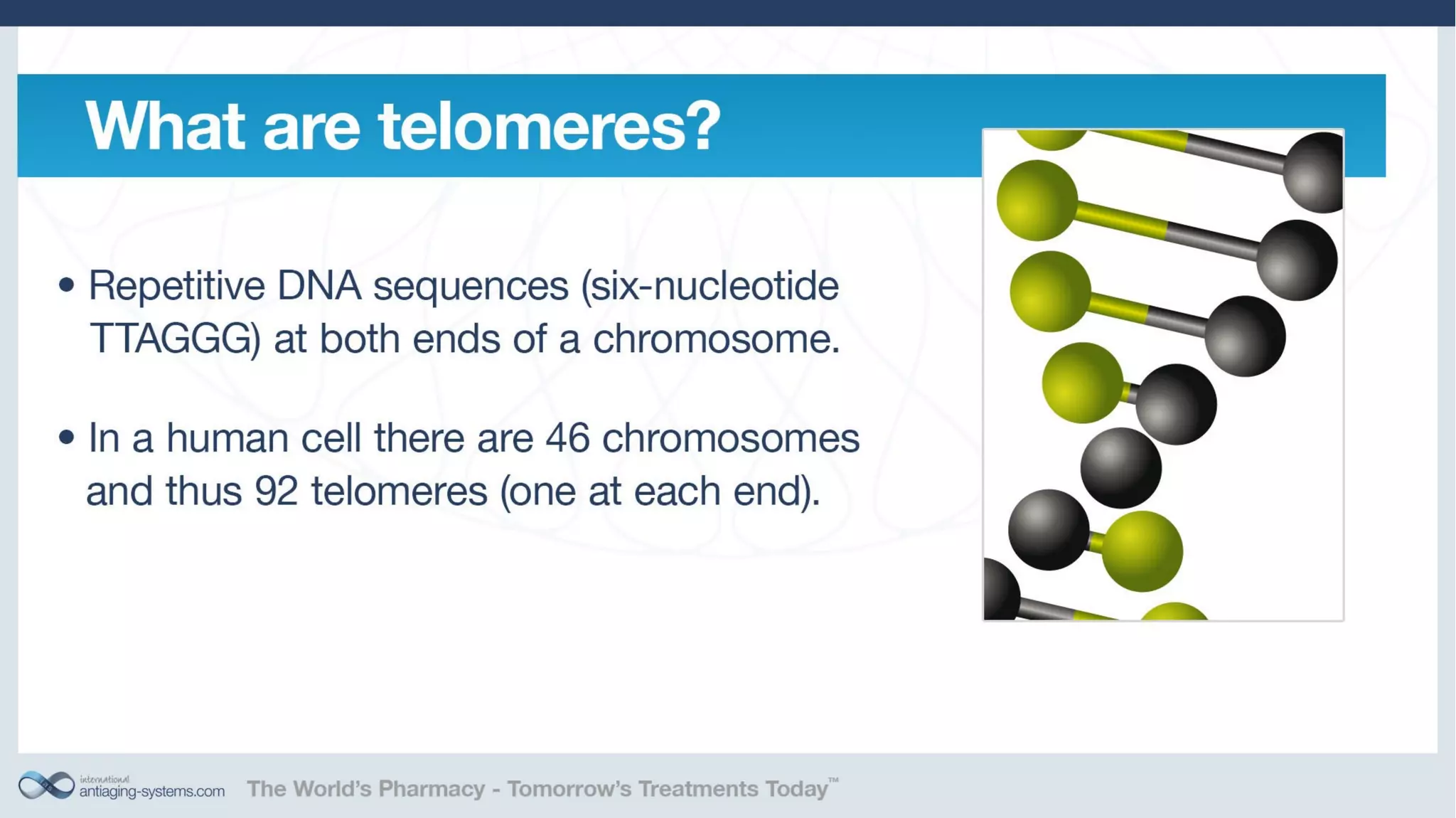 Telomerase Activation: Is it a key to unlocking the aging puzzle?