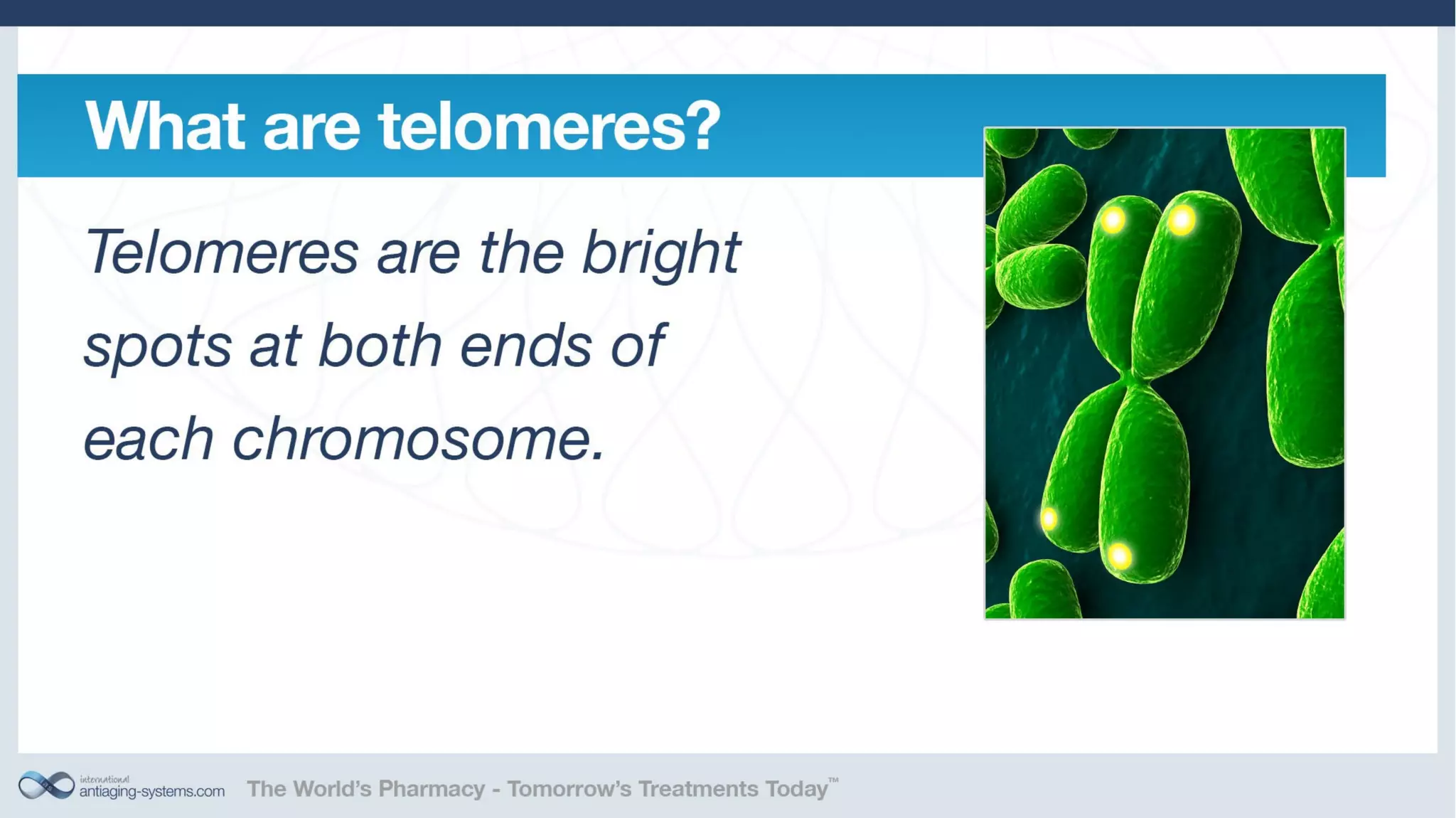Telomerase Activation: Is it a key to unlocking the aging puzzle?