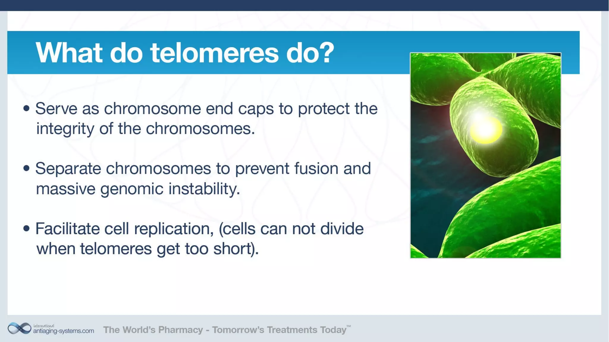 Telomerase Activation: Is it a key to unlocking the aging puzzle?