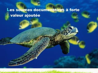 L es sources documentaires à forte valeur ajoutée 