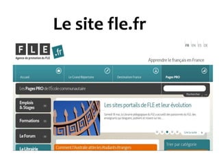Le site fle.fr

 