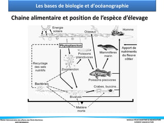 Master Administration des affaires des Pêche Maritimes MODULE PÊCHE MARITIME & AQUACULTURE
ELÉMENT-AQUACULTURE
Chaine alimentaire et position de l’espèce d’élevage
Les bases de biologie et d’océanographie
 