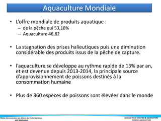 Master Administration des affaires des Pêche Maritimes MODULE PÊCHE MARITIME & AQUACULTURE
ELÉMENT-AQUACULTURE
Aquaculture Mondiale
• L’offre mondiale de produits aquatique :
– de la pêche qui 53,18%
– Aquaculture 46,82
• La stagnation des prises halieutiques puis une diminution
considérable des produits issus de la pêche de capture.
• l’aquaculture se développe au rythme rapide de 13% par an,
et est devenue depuis 2013-2014, la principale source
d’approvisionnement de poissons destinés à la
consommation humaine
• Plus de 360 espèces de poissons sont élevées dans le monde
 