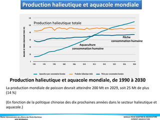 Master Administration des affaires des Pêche Maritimes MODULE PÊCHE MARITIME & AQUACULTURE
ELÉMENT-AQUACULTURE
Production halieutique et aquacole mondiale, de 1990 à 2030
La production mondiale de poisson devrait atteindre 200 Mt en 2029, soit 25 Mt de plus
(14 %)
(En fonction de la politique chinoise des dix prochaines années dans le secteur halieutique et
aquacole.)
Production halieutique et aquacole mondiale
Aquaculture
consommation humaine
Production halieutique totale
Pêche
consommation humaine
 