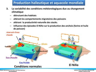 Master Administration des affaires des Pêche Maritimes MODULE PÊCHE MARITIME & AQUACULTURE
ELÉMENT-AQUACULTURE
3. La variabilité des conditions météorologiques due au changement
climatique
– détruisant des habitats
– altérant les comportements migratoires des poissons
– altérant la productivité naturelle des stocks.
– influence des épisodes El Niño sur la production des anchois (farine et huile
de poisson)
Production halieutique et aquacole mondiale
Conditions normales El Niño
 