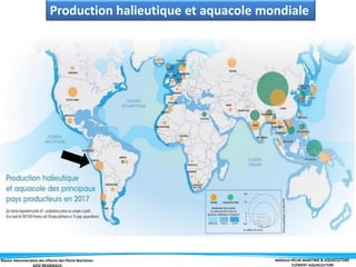 Master Administration des affaires des Pêche Maritimes MODULE PÊCHE MARITIME & AQUACULTURE
ELÉMENT-AQUACULTURE
Production halieutique et aquacole mondiale
 