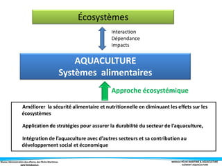 Master Administration des affaires des Pêche Maritimes MODULE PÊCHE MARITIME & AQUACULTURE
ELÉMENT-AQUACULTURE
Améliorer la sécurité alimentaire et nutritionnelle en diminuant les effets sur les
écosystèmes
Application de stratégies pour assurer la durabilité du secteur de l’aquaculture,
Intégration de l’aquaculture avec d’autres secteurs et sa contribution au
développement social et économique
AQUACULTURE
Systèmes alimentaires
Écosystèmes
Interaction
Dépendance
Impacts
Approche écosystémique
 
