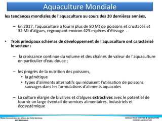 Master Administration des affaires des Pêche Maritimes MODULE PÊCHE MARITIME & AQUACULTURE
ELÉMENT-AQUACULTURE
les tendances mondiales de l'aquaculture au cours des 20 dernières années,
– En 2017, l'aquaculture a fourni plus de 80 Mt de poissons et crustacés et
32 ​​Mt d'algues, regroupant environ 425 espèces d'élevage .
• Trois principaux schémas de développement de l'aquaculture ont caractérisé
le secteur :
– la croissance continue du volume et des chaînes de valeur de l'aquaculture
en particulier d’eau douce ;
– les progrès de la nutrition des poissons,
• la génétique
• types d'aliments alternatifs qui réduisent l'utilisation de poissons
sauvages dans les formulations d'aliments aquacoles
– La culture élargie de bivalves et d'algues extractives avec le potentiel de
fournir un large éventail de services alimentaires, industriels et
écosystémique
Aquaculture Mondiale
 