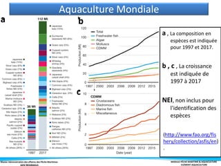 Master Administration des affaires des Pêche Maritimes MODULE PÊCHE MARITIME & AQUACULTURE
ELÉMENT-AQUACULTURE
a , La composition en
espèces est indiquée
pour 1997 et 2017.
b , c , La croissance
est indiquée de
1997 à 2017
NEI, non inclus pour
l'identification des
espèces
Aquaculture Mondiale
(http://www.fao.org/fis
hery/collection/asfis/en)
.
a b
c
 