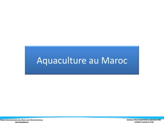 Master Administration des affaires des Pêche Maritimes MODULE PÊCHE MARITIME & AQUACULTURE
ELÉMENT-AQUACULTURE
Aquaculture au Maroc
 