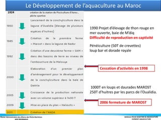Master Administration des affaires des Pêche Maritimes MODULE PÊCHE MARITIME & AQUACULTURE
ELÉMENT-AQUACULTURE
Le Développement de l’aquaculture au Maroc
2006 fermeture de MAROST
1000T en loups et daurades MAROST
250T d'huitres par les parcs de l’Oualidia.
Pénéiculture (50T de crevettes)
loup bar et dorade royale
Cessation d’activités en 1998
1990 Projet d’élevage de thon rouge en
mer ouverte, baie de M’diq
Difficulté de reproduction en captivité
 
