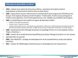 Master Administration des affaires des Pêche Maritimes MODULE PÊCHE MARITIME & AQUACULTURE
ELÉMENT-AQUACULTURE
• 1924 : création de la station de Pisciculture d’Azrou , promotion de la pêche sportive
(reproduction et déversement d’alevins dans les plans d’eau)
• 1950 : L’aquaculture marine a démarré par la conchyliculture dans la lagune de l’Oualidia par les
français. Trois espèces d’huîtres ont été introduite : l’huître plate, l’huître creuse portugaise et
l’huître creuse japonaise. C’est l’huitre japonaise qui s’est adaptée aux conditions de la lagune.
• 1985, la société Marost s’est installé à la Lagune de Merchika à Nador
– bivalves ; huître plate et la palourde, l
– poissons marins ; loup-bar et dorade
– crevette. Cette société assurait une production qui dépassait les 1 400 tonnes en 2005 composée essentiellement de loup
(59 % de la production aquacole nationale). En 2006, pour des raisons commerciales, fermeture de la société Marost.
• 1990 : investissement dans l’élevage de poisson et coquillage (Truite arc en ciel; Anguille; Huître,
Tilapia ; Ecrevisses…)
• 1998 : création de la société piscicole AquaM’Diq qui pratique l’élevage du poisson en mer ouverte
• spécialisé dans le Loup-bar.
• 2009 : Plan HALIEUTIS , stratégie de développement et de compétitivité du secteur des pêches
maritimes
• 2011 : création de l’ANDA (Agence Nationale pour le développement de l'aquaculture )
Historique et généralités au Maroc
 