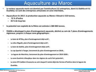 Master Administration des affaires des Pêche Maritimes MODULE PÊCHE MARITIME & AQUACULTURE
ELÉMENT-AQUACULTURE
Aquaculture au Maroc
• Le secteur aquacole marin est dominé par l’ostréiculture (12 entreprises, dont 8 à Dakhla et 4 à
Oualidia). Ce sont des entreprises artisanales en zone intertidale,
• Aquaculture En 2017, la production aquacole au Maroc s’élevait à 510 tonnes,
– 72 % d’huître
– 26 % de loup bar.
• le potentiel non exploité de la filière est estimée à 380 000 tonnes.
• l’ANDA a développé le plan d’aménagement aquacole, décliné au sein de 7 plans d’aménagements
régionaux, propres à chaque zone géographique :
– La baie de M’Diq, plan d’aménagement déjà actif ;
– La côte d’Agadir, plan d’aménagement déjà actif ;
– La baie de Dakhla, plan d’aménagement déjà actif ;
– Le cap Spartel à Tanger, lancement du plan d’aménagement en 2018 ;
– Le lagune de Marchica, lancement du plan d’aménagement en 2019-2020 ;
– La zone Guelmin à Boujdour dans les régions du sud à fort potentiel ;
– La zone d’El Jadida à Essaouira au sein duquel il existe déjà des fermes d’huîtres dans le lagune de
Oualidia.
 