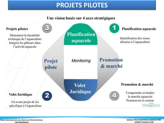 Master Administration des affaires des Pêche Maritimes MODULE PÊCHE MARITIME & AQUACULTURE
ELÉMENT-AQUACULTURE
PROJETS PILOTES
 