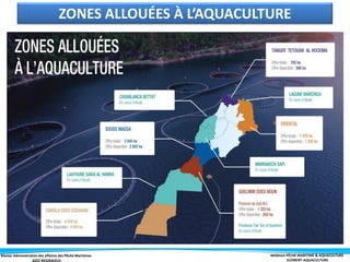 Master Administration des affaires des Pêche Maritimes MODULE PÊCHE MARITIME & AQUACULTURE
ELÉMENT-AQUACULTURE
ZONES ALLOUÉES À L’AQUACULTURE
 