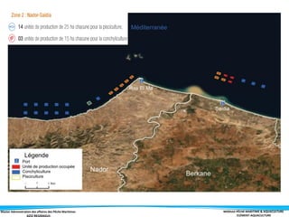 Master Administration des affaires des Pêche Maritimes MODULE PÊCHE MARITIME & AQUACULTURE
ELÉMENT-AQUACULTURE
 