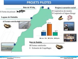 Master Administration des affaires des Pêche Maritimes MODULE PÊCHE MARITIME & AQUACULTURE
ELÉMENT-AQUACULTURE
PROJETS PILOTES
 