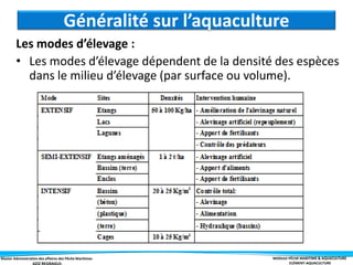 Master Administration des affaires des Pêche Maritimes MODULE PÊCHE MARITIME & AQUACULTURE
ELÉMENT-AQUACULTURE
Généralité sur l’aquaculture
Les modes d’élevage :
• Les modes d’élevage dépendent de la densité des espèces
dans le milieu d’élevage (par surface ou volume).
 