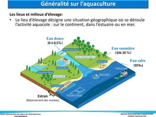 Master Administration des affaires des Pêche Maritimes MODULE PÊCHE MARITIME & AQUACULTURE
ELÉMENT-AQUACULTURE
Les lieux et milieux d’élevage:
• Le lieu d’élevage désigne une situation géographique où se déroule
l’activité aquacole : sur le continent, dans l’estuaire ou en mer.
Généralité sur l’aquaculture
Eau douce
(0 à 0,5‰)
Eau salée
(35‰)
Eau saumâtre
(10à 20 ‰)
Estran
(Balancement des marées)
 