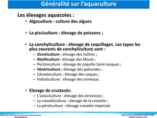 Master Administration des affaires des Pêche Maritimes MODULE PÊCHE MARITIME & AQUACULTURE
ELÉMENT-AQUACULTURE
Les élevages aquacoles :
• Algoculture : culture des algues
• La pisciculture : élevage de poissons ;
• La conchyliculture : élevage de coquillages. Les types les
plus courants de conchyliculture sont :
– Ostréiculture : élevage des huîtres ;
– Mytiliculture : élevage des Moule ;
– Pectiniculture : élevage de coquille Saint-Jacques ;
– Vénériculture : élevage des palourdes ;
– Cérastoculture : élevage des coques ;
– Halioticulture : élevage des ormeaux.
• Elevage de crustacés:
– L'astaciculture : élevage des écrevisses ;
– La crevetticulture : élevage de la crevette ;
– La pénéiculture : élevage crevette impériale
Généralité sur l’aquaculture
 