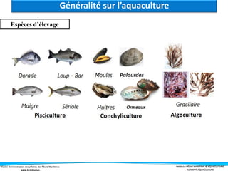 Master Administration des affaires des Pêche Maritimes MODULE PÊCHE MARITIME & AQUACULTURE
ELÉMENT-AQUACULTURE
Animaux d’élevage
Espèces d’élevage
Généralité sur l’aquaculture
 