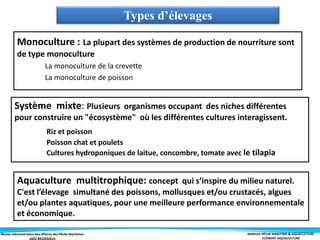 Master Administration des affaires des Pêche Maritimes MODULE PÊCHE MARITIME & AQUACULTURE
ELÉMENT-AQUACULTURE
Types d’élevages
Monoculture : La plupart des systèmes de production de nourriture sont
de type monoculture
La monoculture de la crevette
La monoculture de poisson
Système mixte: Plusieurs organismes occupant des niches différentes
pour construire un "écosystème" où les différentes cultures interagissent.
Riz et poisson
Poisson chat et poulets
Cultures hydroponiques de laitue, concombre, tomate avec le tilapia
Aquaculture multitrophique: concept qui s’inspire du milieu naturel.
C'est l’élevage simultané des poissons, mollusques et/ou crustacés, algues
et/ou plantes aquatiques, pour une meilleure performance environnementale
et économique.
 