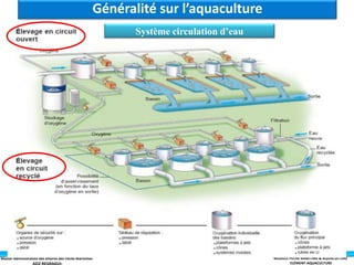 Master Administration des affaires des Pêche Maritimes MODULE PÊCHE MARITIME & AQUACULTURE
ELÉMENT-AQUACULTURE
Système circulation d’eau
Système circulation d’eau
Généralité sur l’aquaculture
 