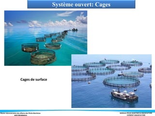 Master Administration des affaires des Pêche Maritimes MODULE PÊCHE MARITIME & AQUACULTURE
ELÉMENT-AQUACULTURE
Système ouvert: Cages
Cages de surface
 