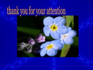 thank you for your attention 