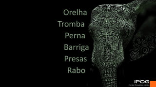 Orelha
Tromba
Perna
Barriga
Presas
Rabo
Fonte: Provérbio Hindú.
 